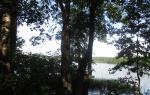 Lake Shchuchye: recreation and fishing Recreational area 