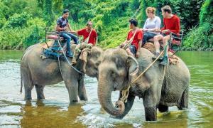 Where is the best place to ride elephants in Pattaya?