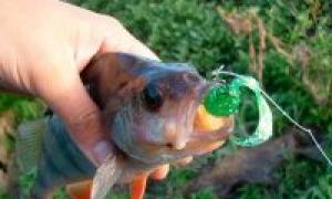 Fishing crafts and fishing tricks