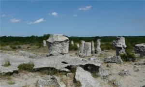 Stone forest spread among blooming Bulgaria Varna stone forest how to get