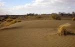 Desert and semi-desert zone of Russia: where it is located, map, climate, flora and fauna What is called a desert